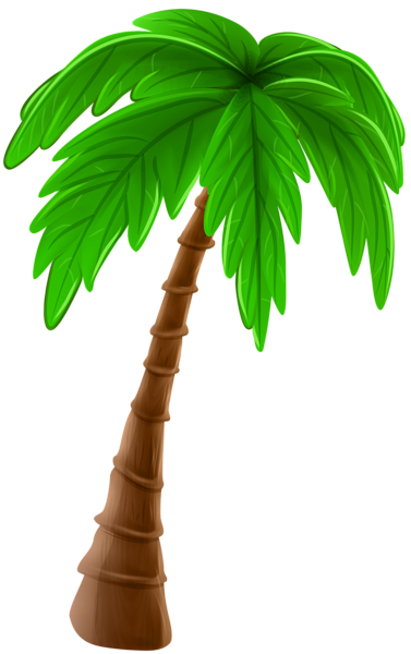 Palm Tree Cartoon PNG Clip Art Image