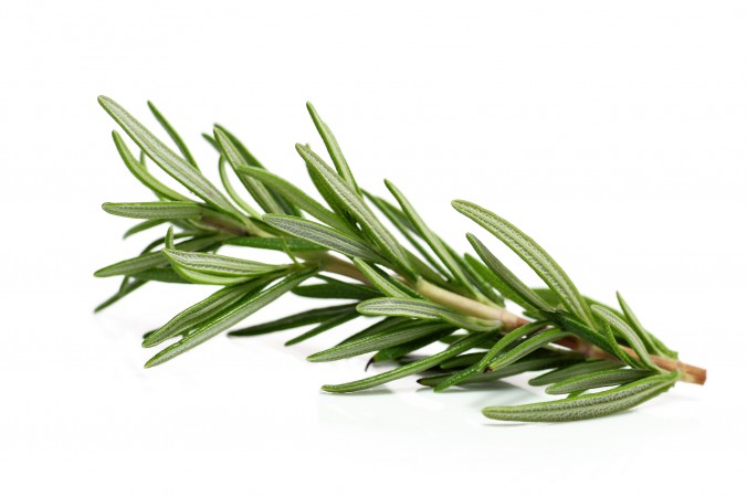 Rosemary sprig Fotolia 45405563 Subscription L 676x450